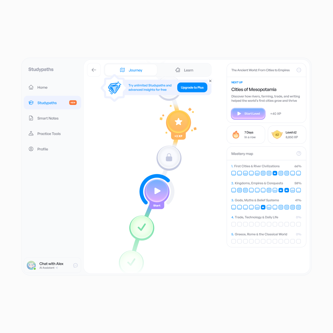 Studypaths main learning path